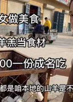 山东美女做特色美食，10天小羊羔当食材，300一份成当地名吃