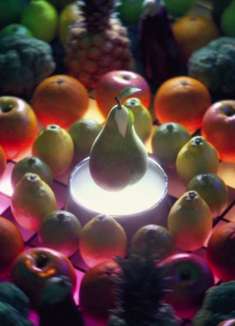 这家超市的生鲜，真的很生猛啊