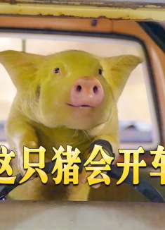 外星人附到小猪身上，本想寻找超能力圆环，结果被人类抓了起来