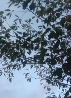 歌曲《谁的眼泪在飞》演唱：孟庭苇