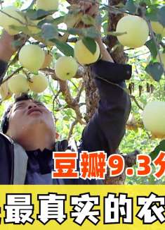 豆瓣9.3，导演在村子里呆了整整373天，拍出了最真实的农村生活