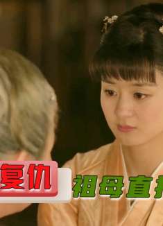 明兰复仇算计林小娘，每步都走得堪称完美，祖母听了都害怕！