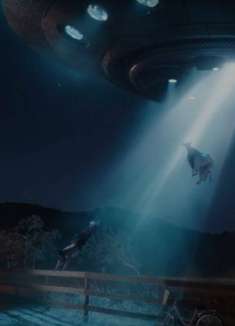 欧美沙雕快递广告，是不管人死活的感觉