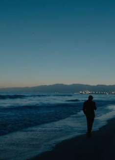 绝美摄影！入围奥斯卡最佳导演「泰伦斯·马利克」混剪