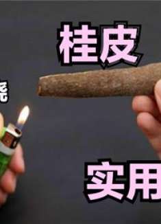 桂皮放火上烧一烧，解决每家每户大麻烦，实用还省钱，帮大忙了