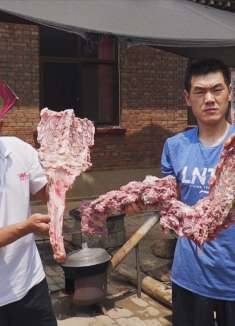 280块钱买了19斤驴架子，铁锅炖3小时，巴掌大的驴大骨，啃着过瘾