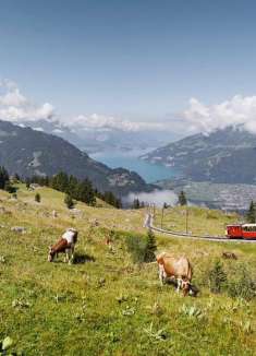 维德斯维尔，瑞士美丽的村庄！