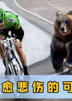 一个视频笑一整年！满级动物行为大赏