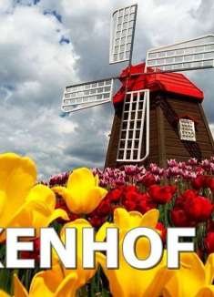 想体验被花淹没的感觉吗？