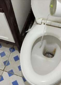 把开水倒在马桶上，没想到这么厉害，看完告诉家人#生活小妙招