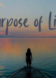 5 分钟环游世界，探寻步所能及的云端