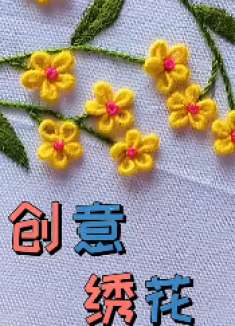 喜欢刺绣的亲，一定要学会这种特色绣法，比做衣服还简单，太美了