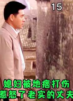 媳妇被地痞打伤，惹怒了老实的丈夫，场面很解压
