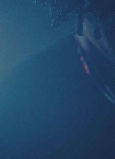 我不想说再见，但还是再见吧 | 独立男声