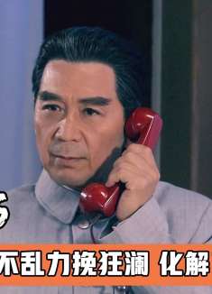 周总理临危不乱力挽狂澜，化解了巨大危机，影视解说