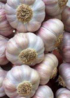 遇到这4种大蒜不能买，菜贩子自己都不吃，家里有的快扔掉