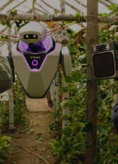 俄罗斯赛博农场又来了！纬度折叠种黄瓜