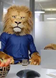 有生之年！等到了疯狂动物城全员打工