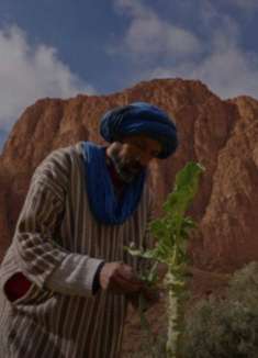 摩洛哥人文旅拍，一千零一夜的尽头