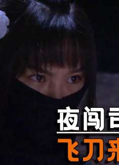 宋无娇夜闯日军司令部，廖天生柳叶飞刀来相助，愣是毫发无损
