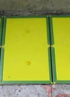 老鼠：这种粘鼠板，粘上跑都跑不脱