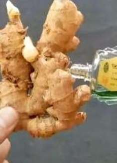 风油精滴在生姜上，真是厉害，解决了困扰大家的一大难题，学学吧