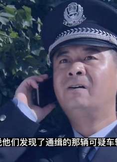 第24集汽车故意遮挡牌照，民警一眼看出有问题！