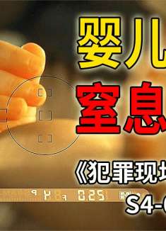 无助婴儿热死在60度的车里，竟是被亲生父母遗弃谋杀