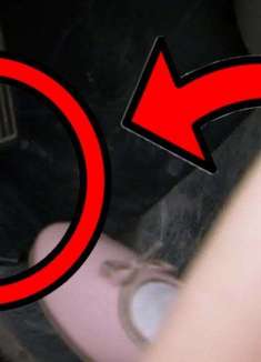 被冲浪板反复捶打，感觉好像看了一集倒霉熊