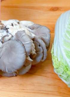 冬天白菜和蘑菇是绝配，教你从没吃过的做法，不炒也不炖，真香