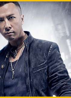 安志杰：成龙才是有真功夫，甄子丹：我不服！拍戏全靠我补位