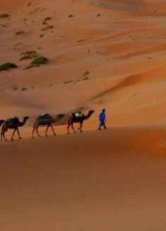 乘坐世界上最危险的火车，穿越撒哈拉沙漠
