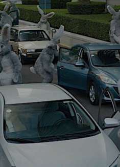 超级碗广告：真的没人管管这些兔子吗？