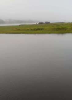 俄勒冈州：美不胜收，让人陶醉