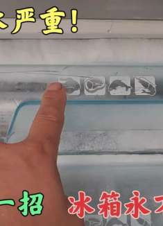 冰箱老是结冰，偷学维修师傅一招，冰箱永不结冰！涨知识了
