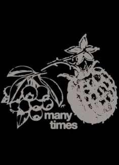 独立新星！全能音乐人 Dijon 新歌「Many Times」MV