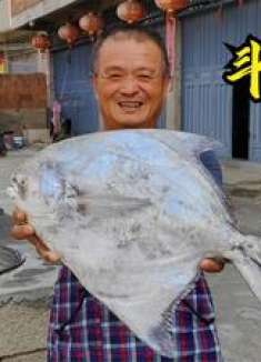 巨型斗鲳鱼可遇不可求，阿胖山花重金拿下，炖豆腐连汤汁都被抢光
