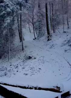 虚拟冬季徒步，漫游仙境瑞士