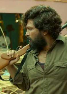 印度小伙发现紫檀木价值连城，靠走私成为人生赢家！