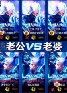 老公英雄vs老婆英雄