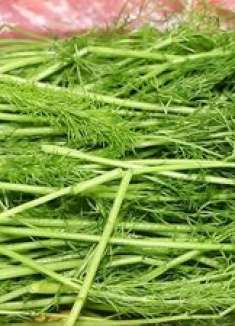 茴香苗水饺怎么做好吃？调馅料是关键，教你正确做法，鲜香又多汁