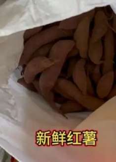 变天了，突然下起了毛毛雨，阿平和小徐急着收红薯叶子