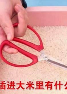才清楚，把剪刀插进大米里，用途真是厉害，省钱又好用，涨知识了