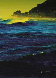 「电影手册」2019 Top1——影像之书