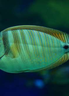 文化和民族最多元化的城市之一：多伦多