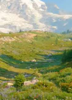 山景远足：阳光明媚，让人心动