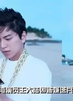 曝王大陆涉嫌逃兵役被捕