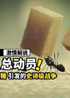只因蚁后吃下一块糖，竟引发了世纪大战，动画电影