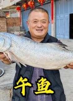 看似平谈无奇的2条鱼，2条花了1760元，渔民公认最好吃的海鱼