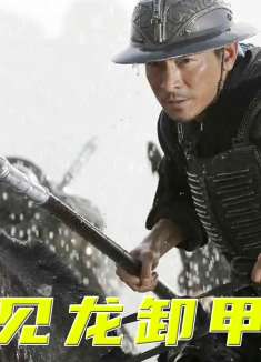 刘德华版赵子龙，一片赤胆平乱世，手中长枪定江山3